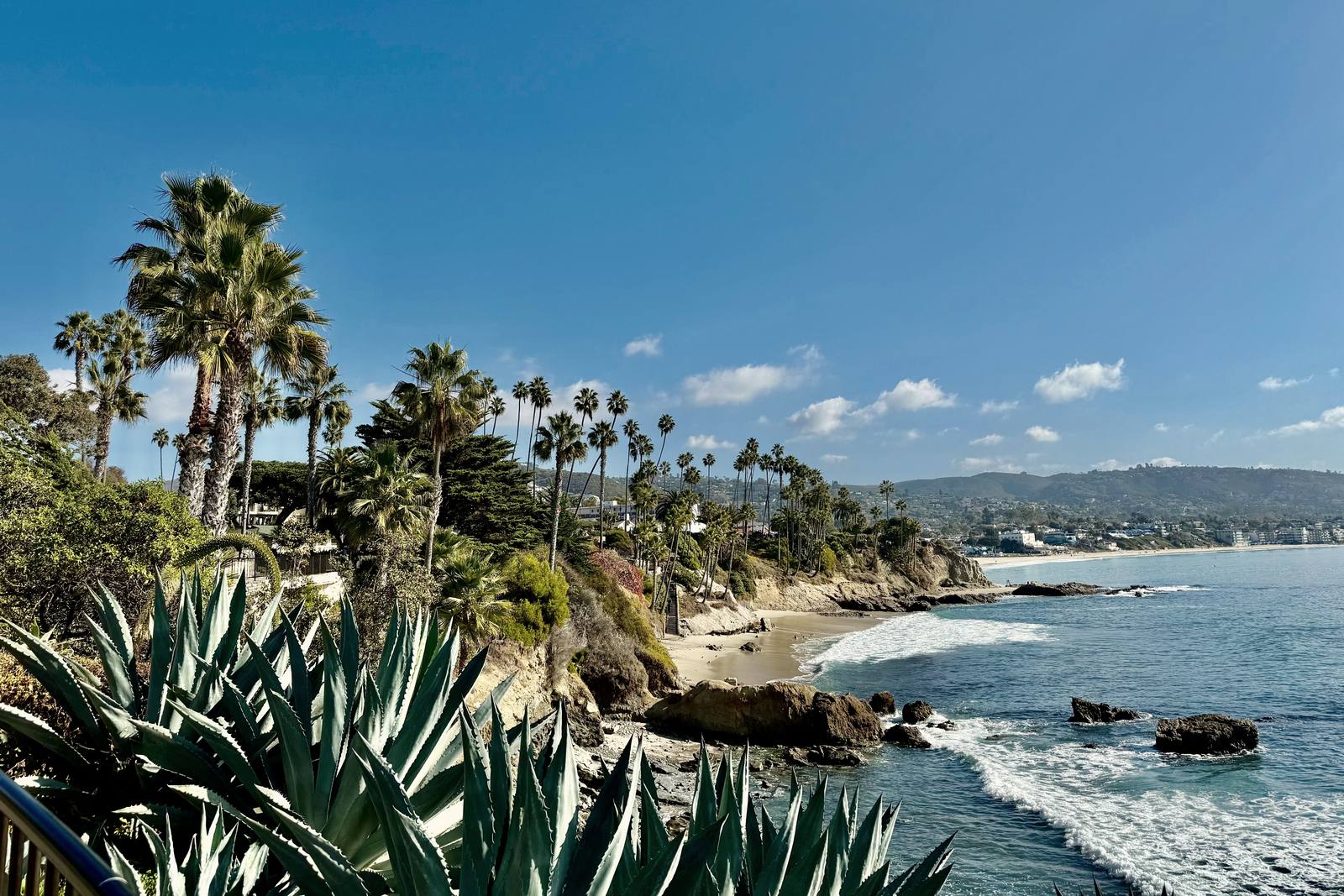 Palms and agave on the bluff above a cove in Laguna Beach, with the town and its hills along the shore beyond.